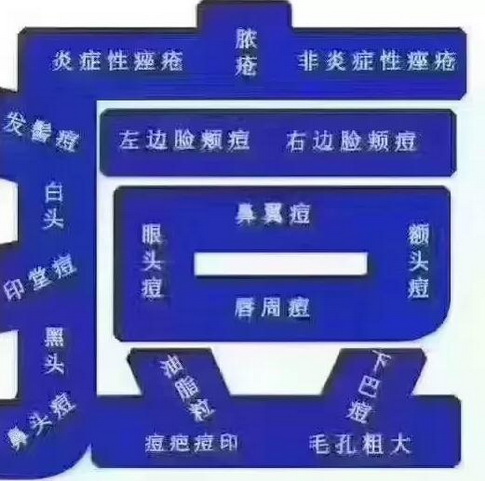 祛痘冻干粉加工